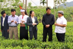 Hanoi Farmers Association drives change by innovation and collaboration