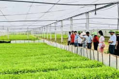 Vietnam prioritizes agriculture and renewable energy for access to green loans  