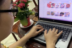 Hanoi develops e-commerce database