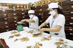 Hanoi accelerates traditional medicine development to enhance public healthcare