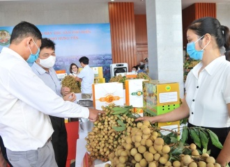 Sale promotion of Vietnamese fresh longan and specialties to int’l consumers