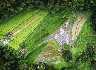 To address climate change, look to nature first