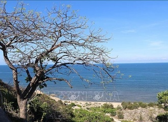 Two Vietnamese sites recognized as global biosphere reserves by UNESCO