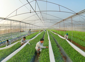 Digitalization in agricultural sector as key fundamental for Vietnam's growth