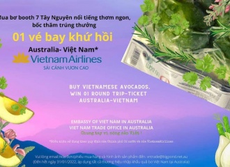 Vietnamese avocados officially sold in Australia