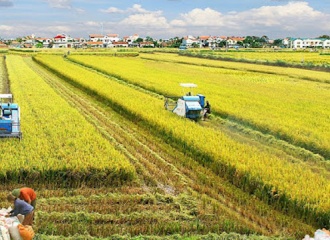 Vietnam announces strategy to become world’s major farm producer by 2030