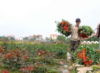 UNDP partners with Vietnam towards goal of poverty eradication