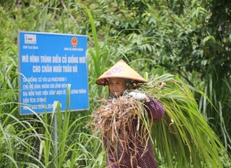 IFAD supports Vietnam’s climate response in agriculture 