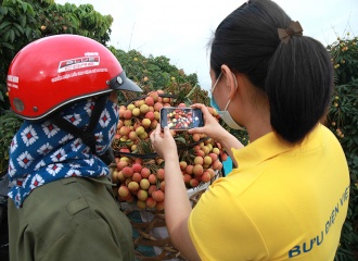 Hanoi promotes consumption of agricultural products on e-commerce sites