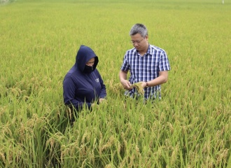 Hanoi develops green agriculture