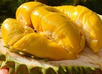 China imports Vietnamese durian after four years of negotiations 