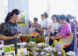 Vietnam brings Hung Yen longan to international markets