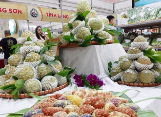 Promotion week of Chi Lang custard apple opens