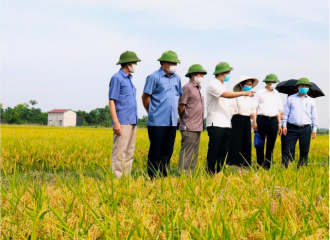 Hanoi strives to find markets for farm produce and specialties