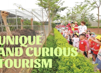 Unique and curious Phu Dong Thien Vuong tourism