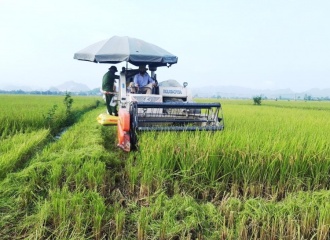 Sciences, technologies key to boost Hanoi's agriculture: Officials