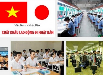 Japan to further support Vietnam in infrastructure, human resources development: JICA