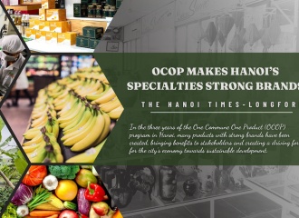 [Longform] OCOP makes Hanoi's specialties strong brands