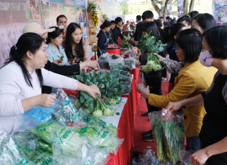 Hanoi to develop rural tourism through local products 