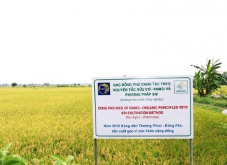 Hanoi encourages development of high-quality rice