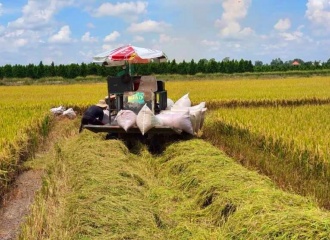 Vietnam’s rice exports to beat records in 2022