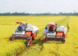 Vietnam's rice exports break price records