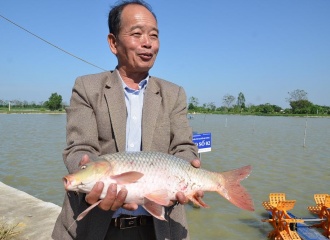 Hanoi promotes high-quality organic farming models