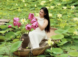 Breathtaking lotus pond outside Hanoi