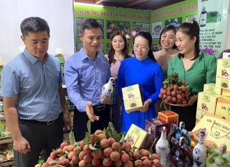 Over 100 safe agricultural products presented to consumers in Hanoi   