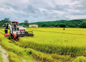 Hanoi promotes rice-growing regions for export