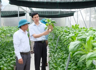 Hanoi promotes safe agriculture