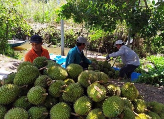 Vietnam’s vegetable exports reach record high