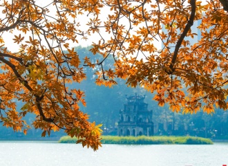 Exploring heritage trees around Hoan Kiem Lake