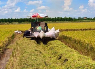 Vietnam’s rice in high demand amid global shortage