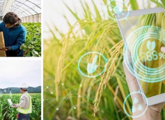 Digital solutions key to sustainable agriculture