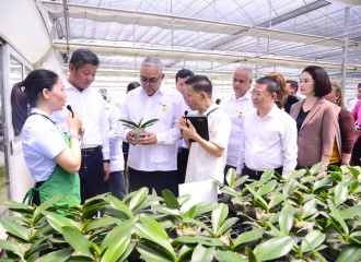 Amended Capital Law to boost urban ecological agriculture development in Hanoi