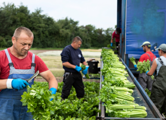 Farming for the Future: Danish expertise for Vietnam’s green agriculture 