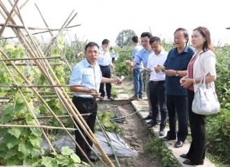 Hanoi’s agriculture aims for sustainable export