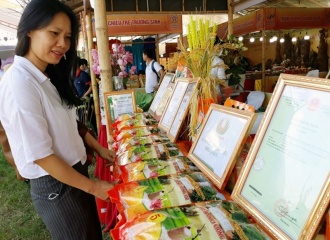 OCOP Craft Village Exhibition in Ung Hoa underway this week