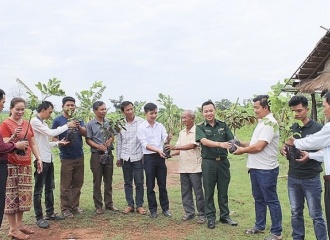 Vietnamese agricultural project supports livelihoods of Lao farmers