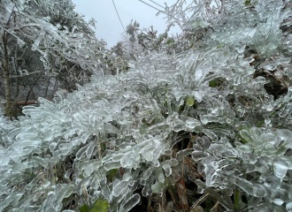 Vietnam's northern mountainous area frozen in white frost