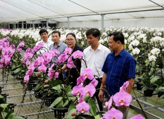 Bringing smart farming closer to Hanoi farmers