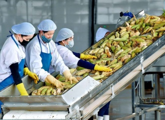 Vietnam’s fruit exports gain momentum in early 2024