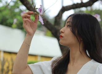 Brilliant Hanoi streets in Ban Flower season