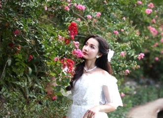 Charming Hanoi girls in blossoming crape myrtle flowers