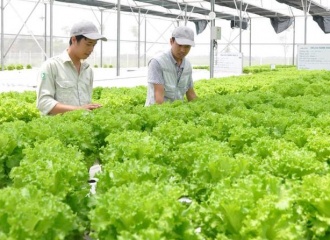 Hanoi steps up organic farming for sustainable agriculture