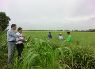 Australia’s support helps Vietnam promote sustainable agriculture  