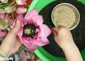 Hanoi’s lotus tea-making recognized as national intangible cultural heritage