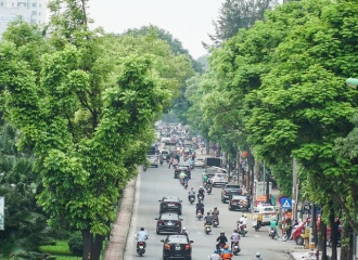 Shade trees needed to enhance Hanoi’s urban identity and biodiversity