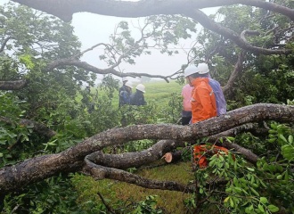 EVNHANOI to maintain power supply during super typhoon 